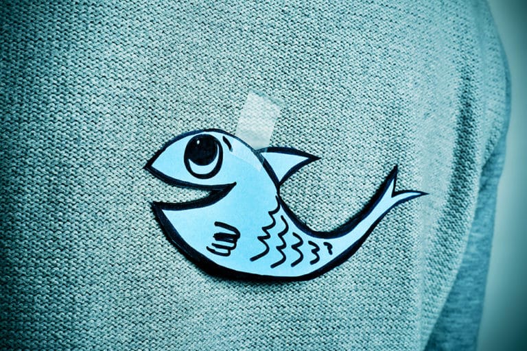 Les immanquables du jour