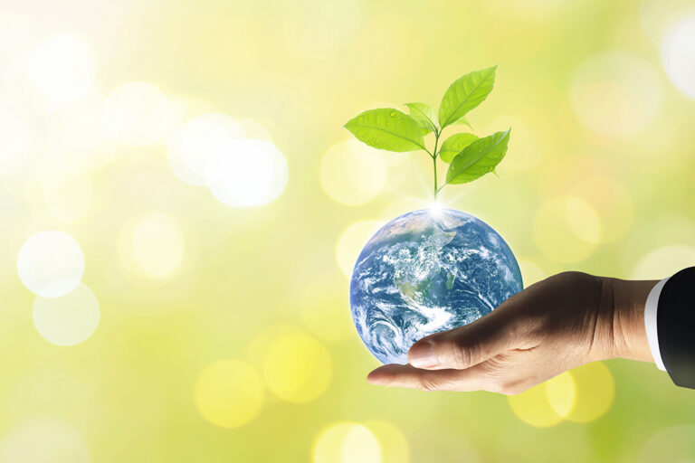 Un mouvement entrepreneurial plus vert !