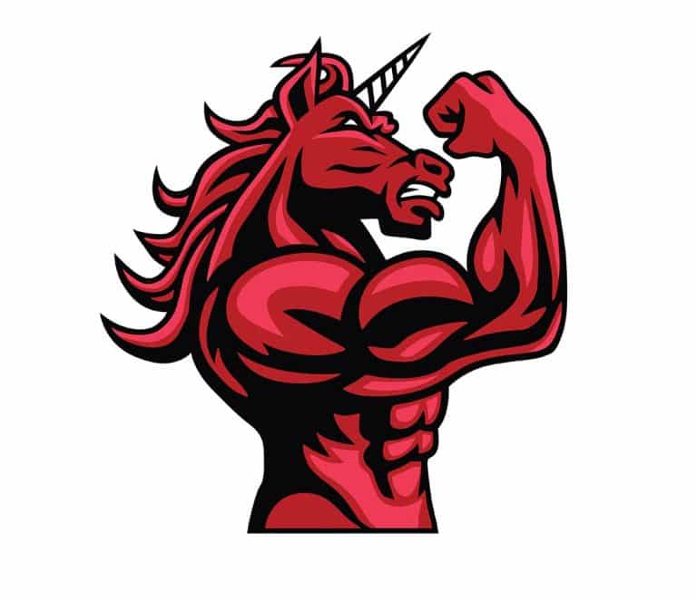 Les licornes, kezako ?