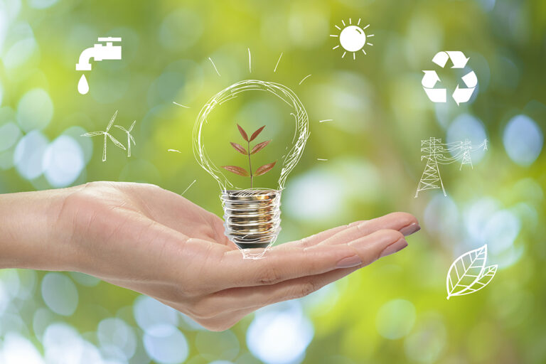 Des idées, toujours innovantes et adaptées à une nouvelle réalité mais aussi des lois pour protéger la planète