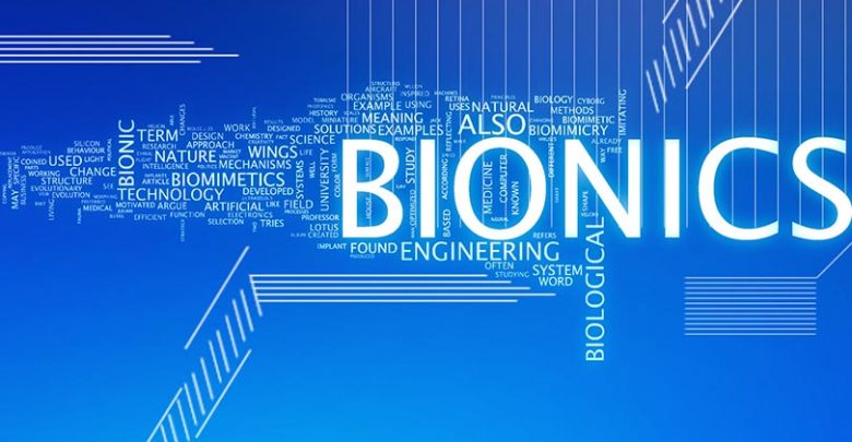 Top 10 des innovations inspirées du biomimétisme
