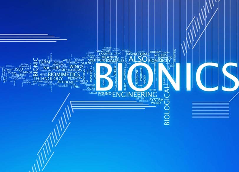 Top 10 des innovations inspirées du biomimétisme