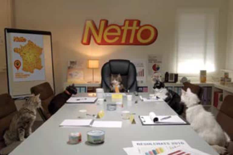 Netto ou l’utilisation des chats pour faire buzzer