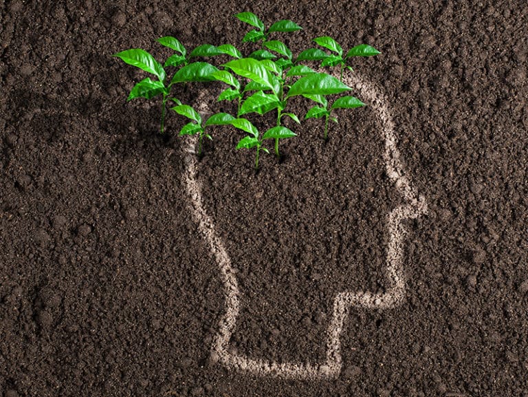 Entreprise : comment sauver la planète simplement ?