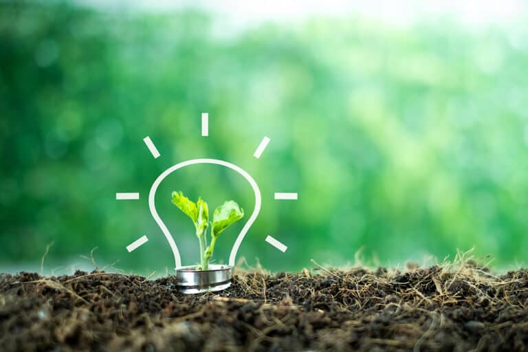 Le développement durable, une évidence