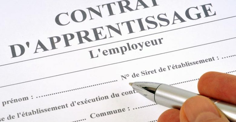 Tout savoir avant l'arrivée d'un contrat pro dans sa boîte