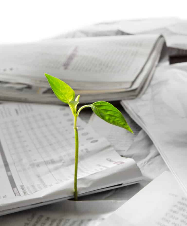 Revue de presse : développement durable