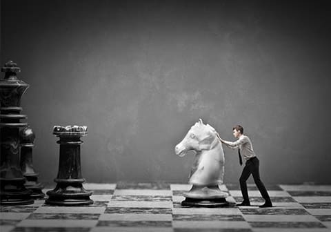 Comment réussir dans le monde du cheval ?