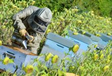 5 leviers sur lesquels peut agir l'entrepreneuriat social