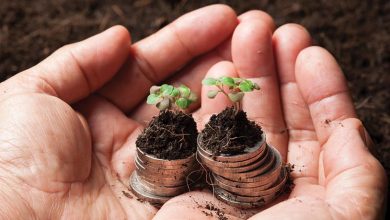 Ces entreprises qui ont fait du développement durable un atout