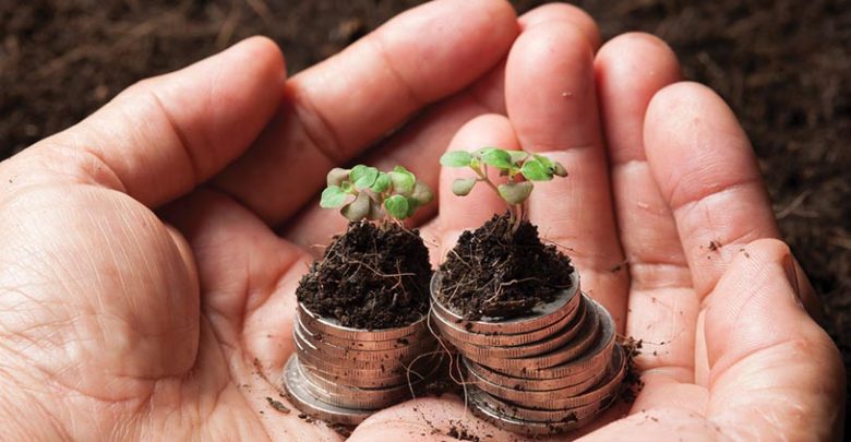 Ces entreprises qui ont fait du développement durable un atout