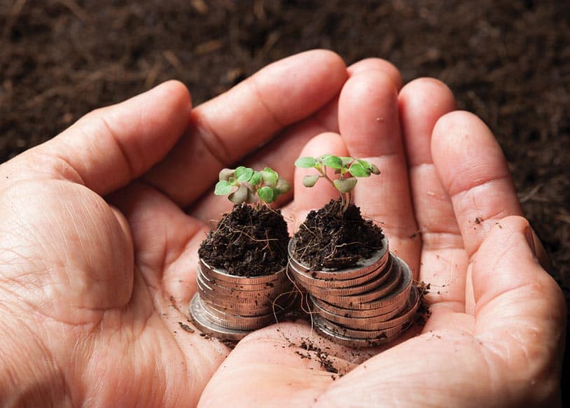 Ces entreprises qui ont fait du développement durable un atout