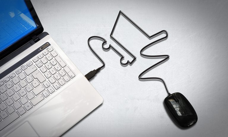 Auto-entrepreneur, pourquoi exploiter la vente en ligne ?