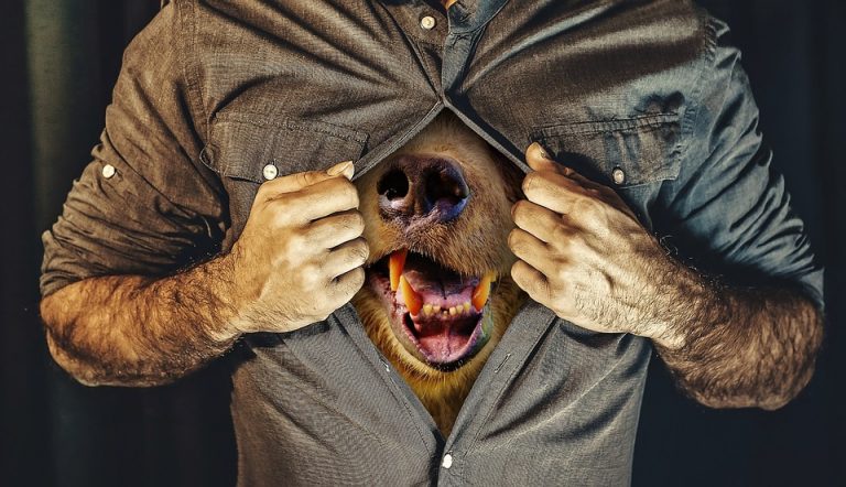 Entrepreneurs, quel animal sommeille en vous ?