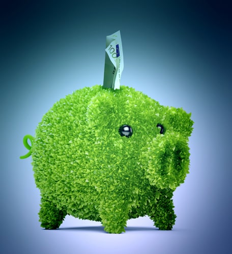Green business : se faire financer par les fonds corporate