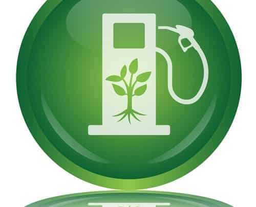 Intermarché va produire du biocarburant