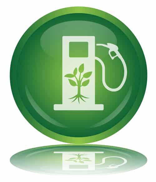 Intermarché va produire du biocarburant