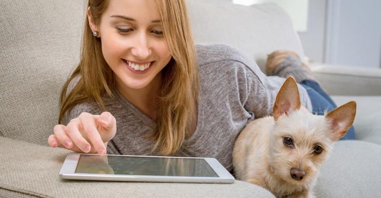 Le top des applications et plateformes dédiées aux animaux de compagnie