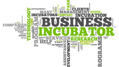 Comment choisir son incubateur ?