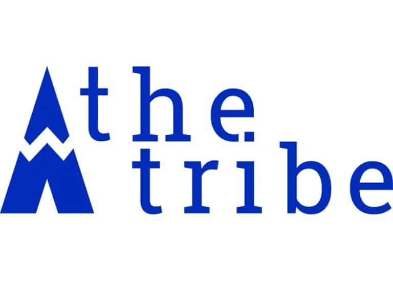 Développement web : l’entreprise theTribe au service de ses clients et ses salariés