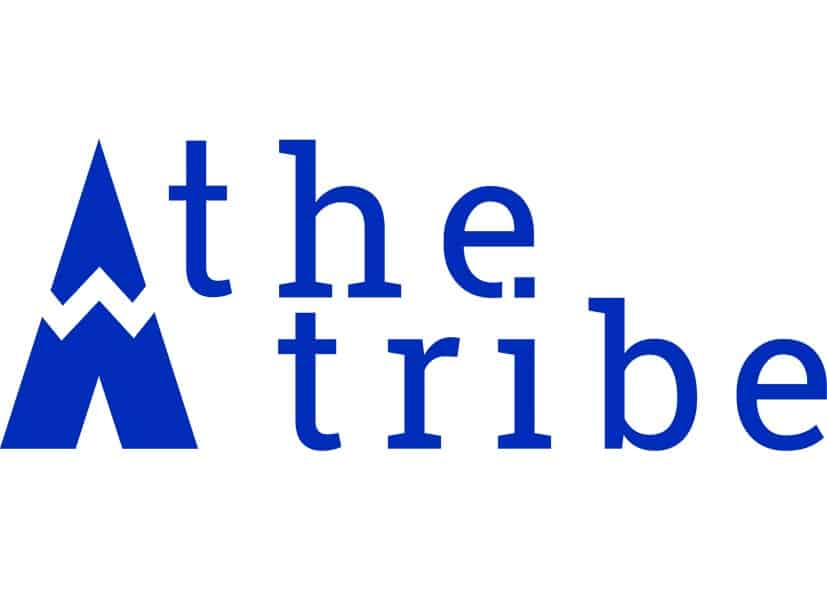 Développement web : l'entreprise theTribe au service de ses clients et ses salariés