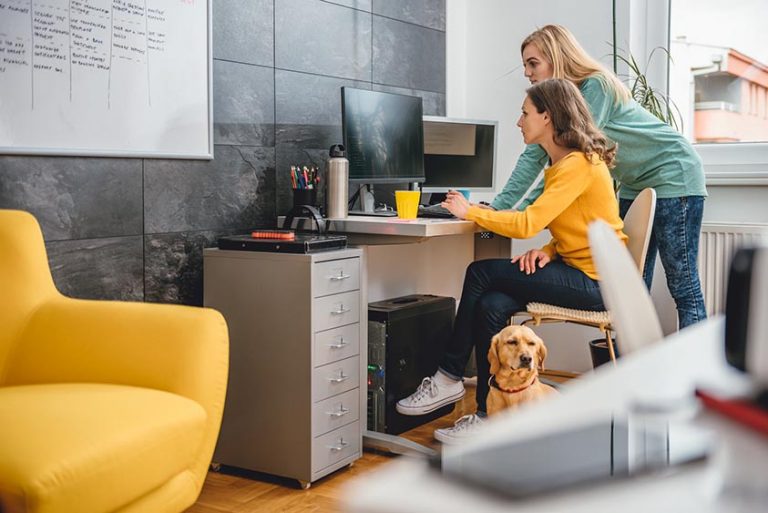 Amener ses animaux dans l&rsquo;entreprise, une bonne idée ?