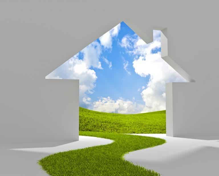 Ces entreprises qui cartonnent dans le secteur de l’écologie