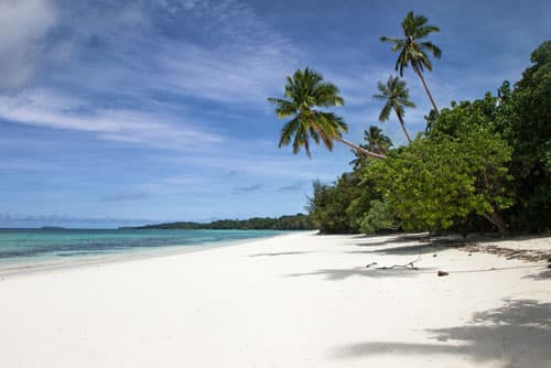 Même sur une île déserte