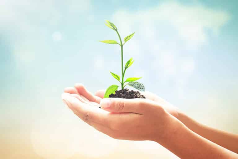 Conseils marketing pour faire de son entreprise une marque responsable