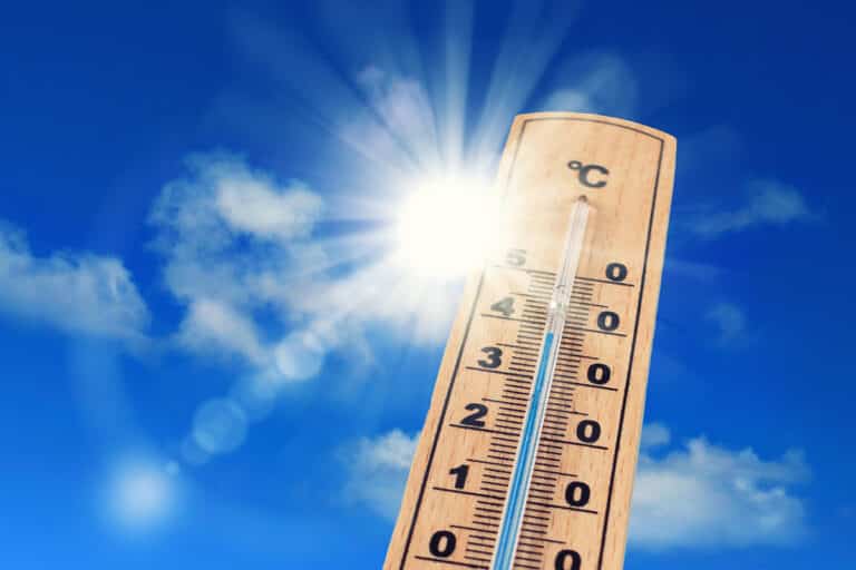 Attention à la prochaine canicule !
