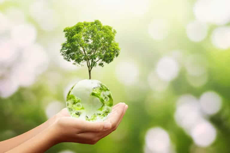 L&rsquo;éco-conception : une démarche transversale