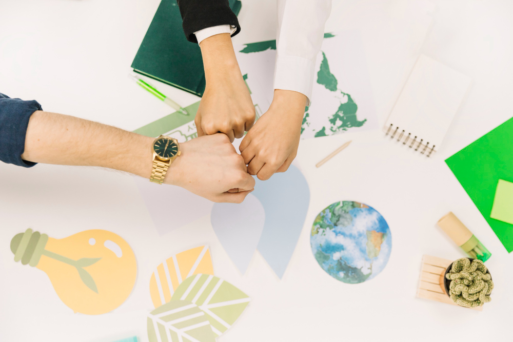 Entrepreneuriat Social et Solidaire (ESS)
