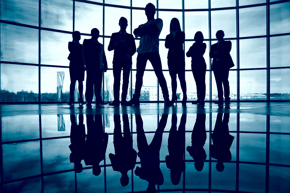 Leadership invisible