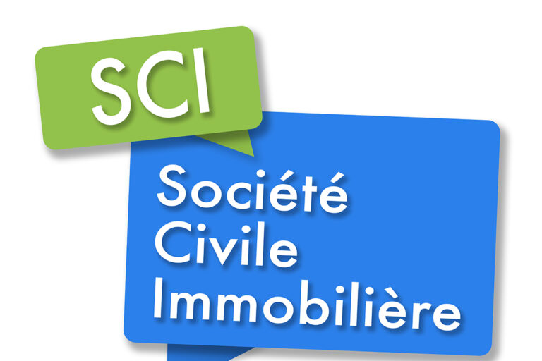 Modèle Mini Statut SCI