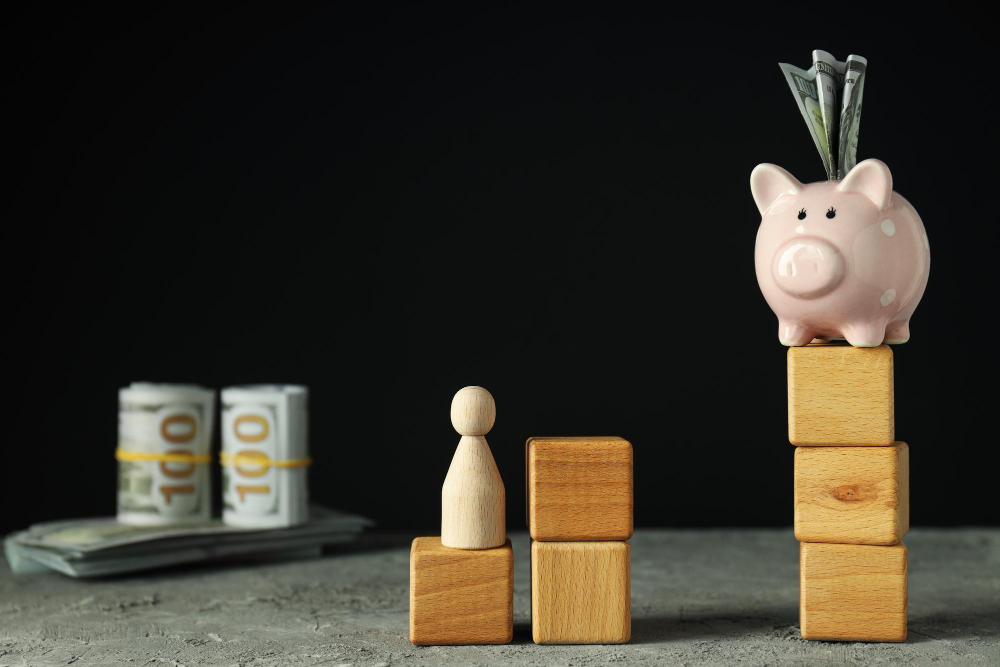 SROI (Social Return on Investment)