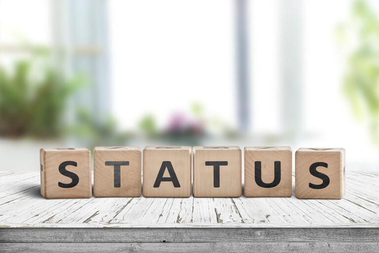Les statuts du porteur de projet