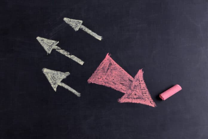 test de la viabilité de l’activité