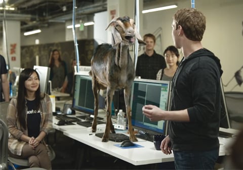 Avez-vous déjà vu Mark Zuckerberg discuter avec une chèvre ?