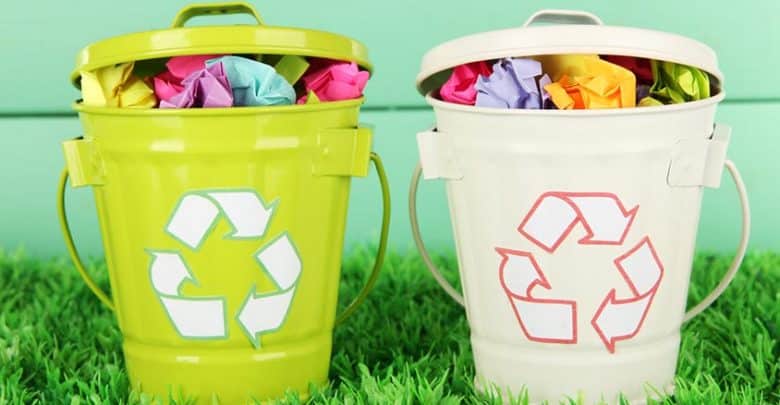 écologie et bien-être au bureau