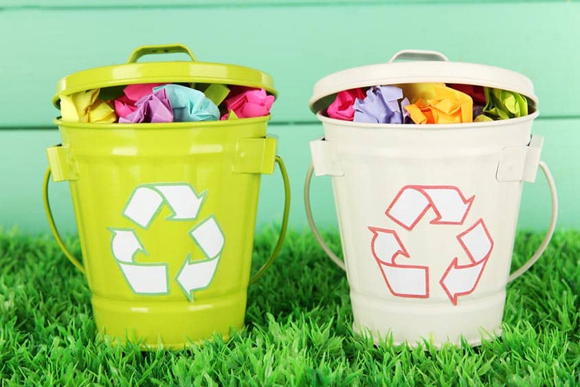 écologie et bien-être au bureau