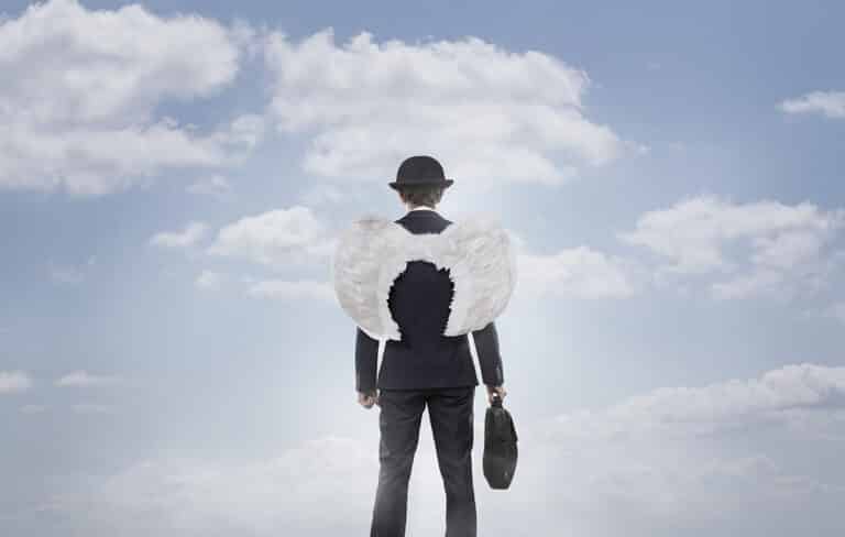 Qui étaient les Business Angels en 2014 ?