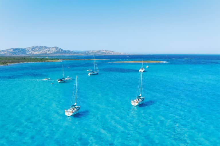 Le marché de la plaisance se porte bien