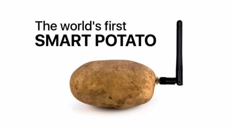 Une patate connectée fait sensation au CES de Las Vegas