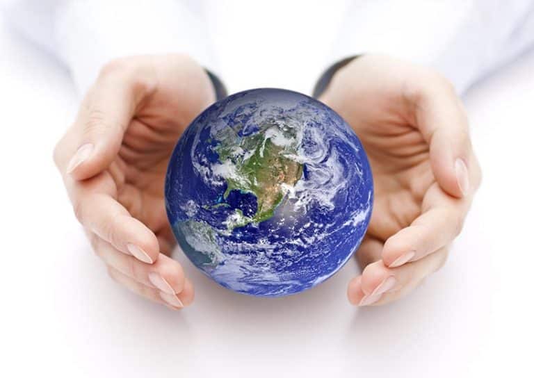 Top 5 des entreprises basées dans la recherche pour sauver la planète