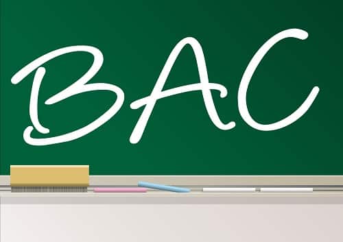 Pour une option « création d’entreprise » au BAC !