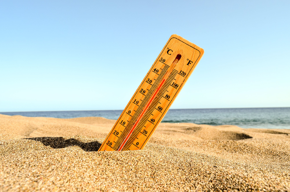 canicule économie française
