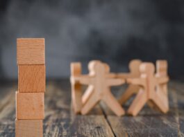 culture d’échecs constructifs