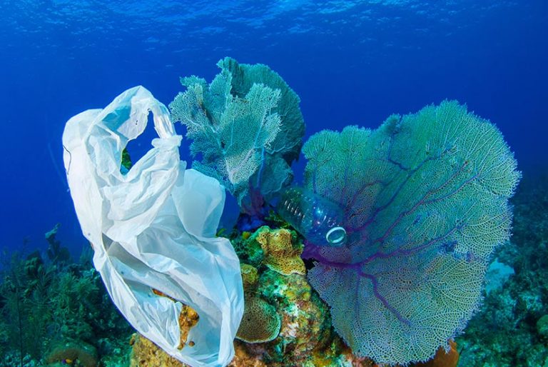 La pollution des océans, un fléau aux nombreuses solutions