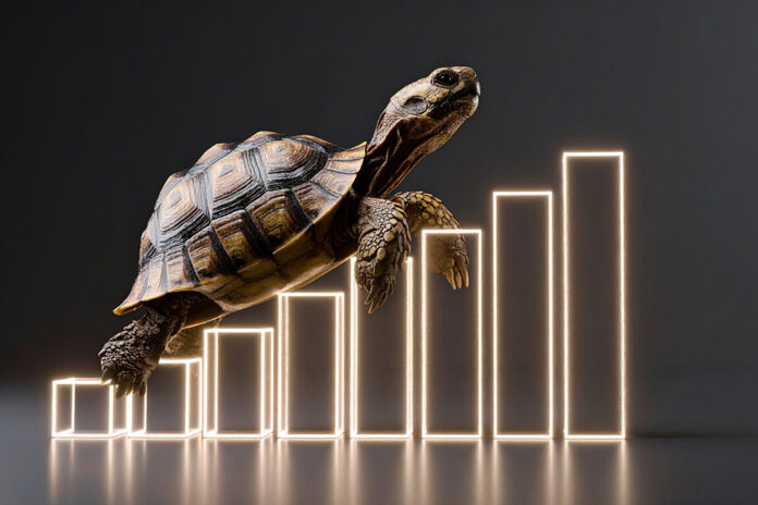 économie de la lenteur