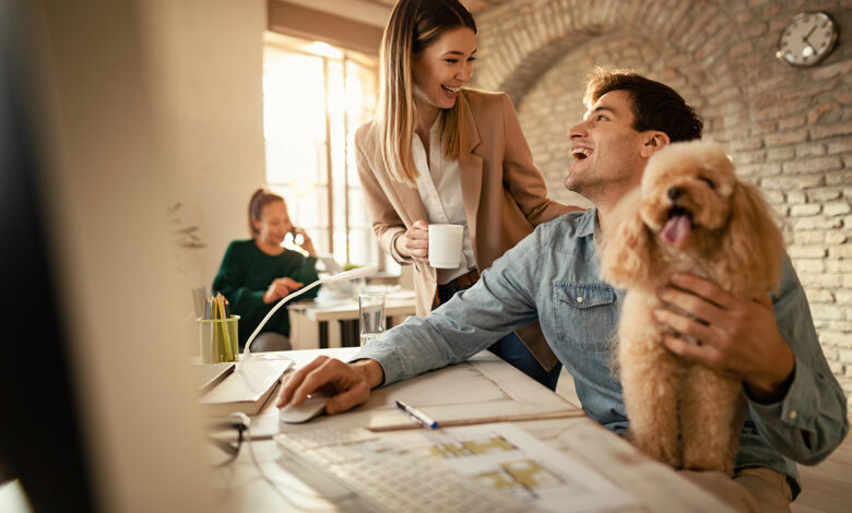 entrepreneurs et animaux de compagnie